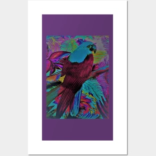 VIBRANT PARROT MACAW TROPICAL PALM EXOTIC BIRD ART DESIGN DECO POSTER PRINT Posters and Art